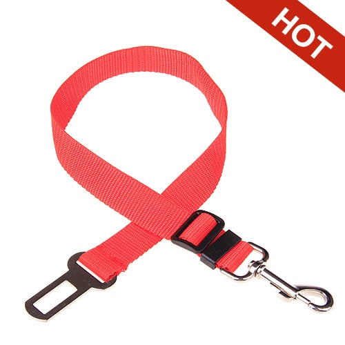 Pet Car Seat Belt