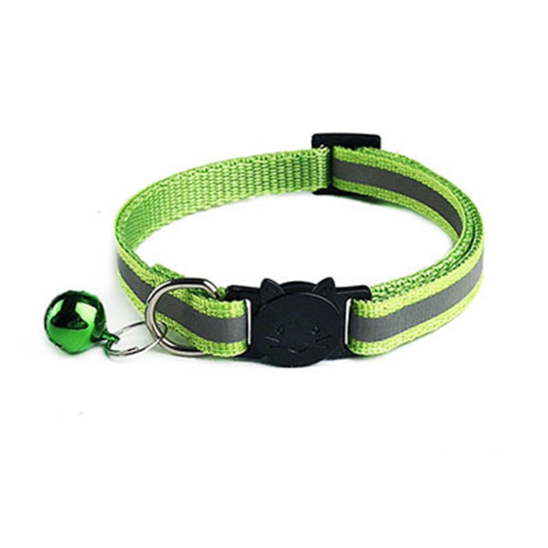 Reflective Collar