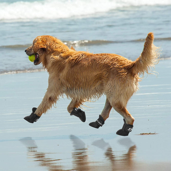 Dog Rainshoes