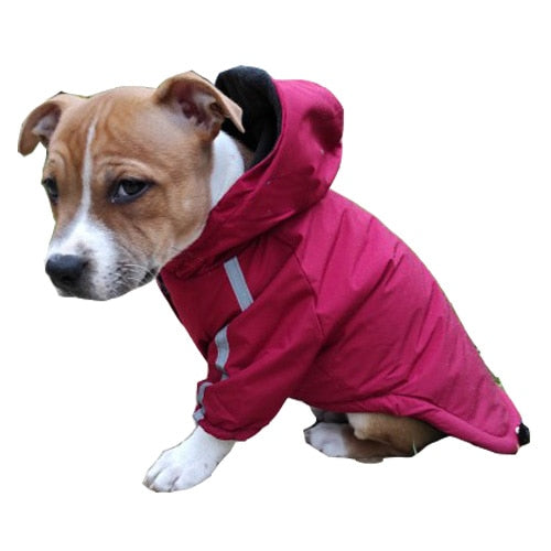 the dog face jacket