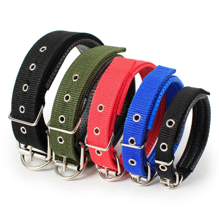 Adjustable dog collar