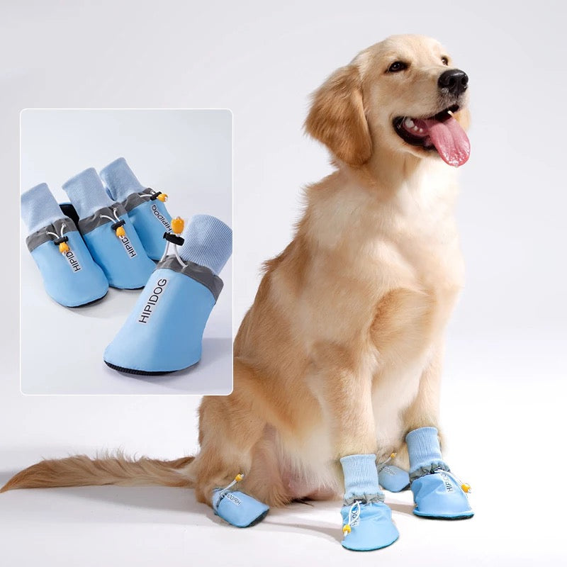 The hipidog shoes